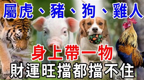 屬虎帶黃金|【屬虎為什麼不能帶黃金】屬虎為什麼不能帶黃金？驚人內幕大公。